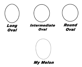 Head Shapes for Selecting the Proper Motorcycle Helmet